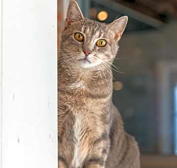 Photo of Gigi