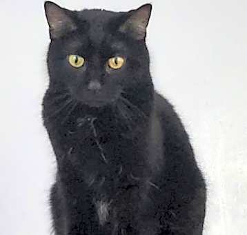 Photo of Rhoda