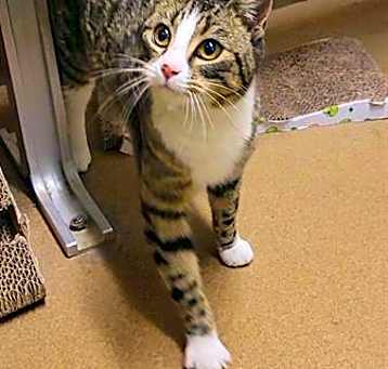 Photo of MOMO