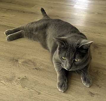 Photo of Stormy