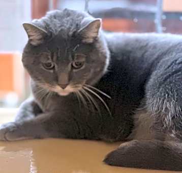 Photo of Molly