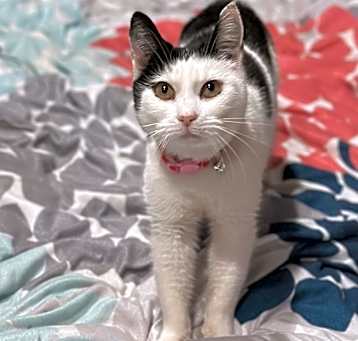 Photo of Minnie