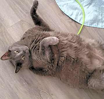 Photo of Biggie