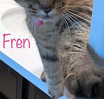 Photo of Fren