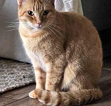 Photo of CLEMENTINE