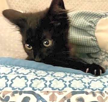 Photo of Jingle