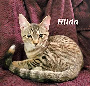 Photo of Hilda