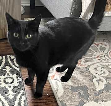 Photo of Blossom