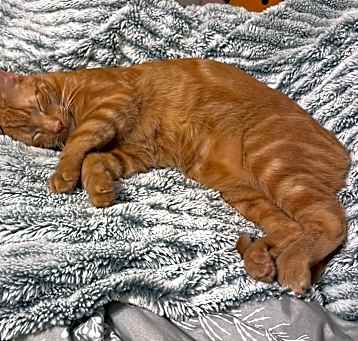 Photo of Tucker