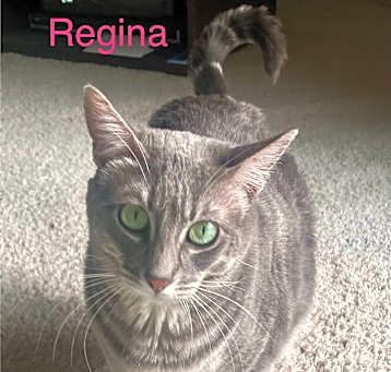 Photo of Regina