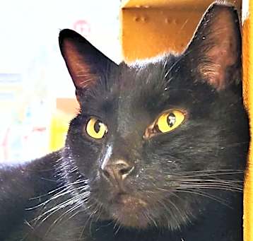 Photo of Booker