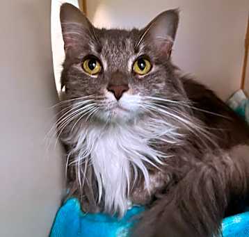 Photo of Izzie