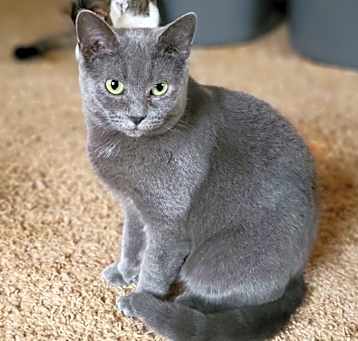 Photo of Missy