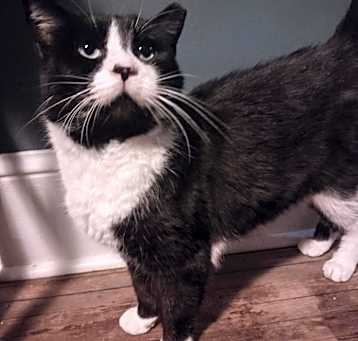 Photo of Maximus