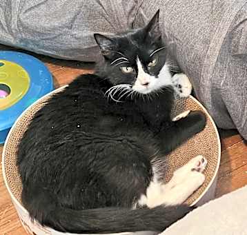 Photo of Philip