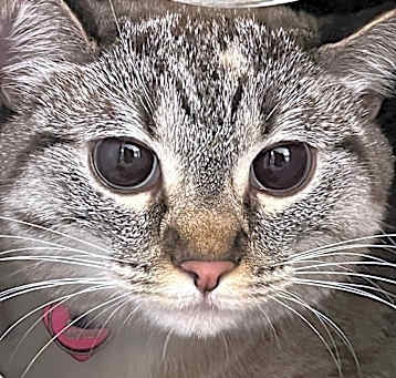 Photo of Minnie