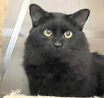 Photo of Calypso