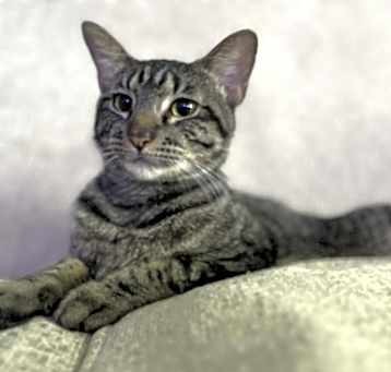 Photo of Jack