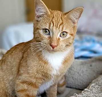 Photo of Ellory
