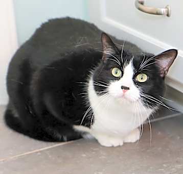Photo of Zoe