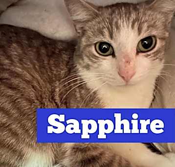 Photo of Sapphire