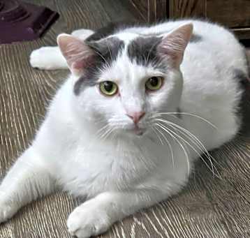 Photo of Twix