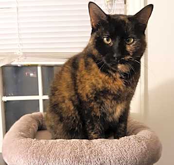 Photo of Tia