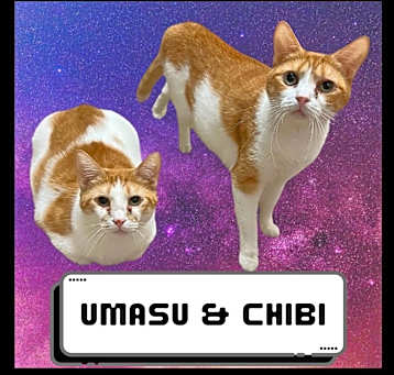 Photo of Chibi & Umasou