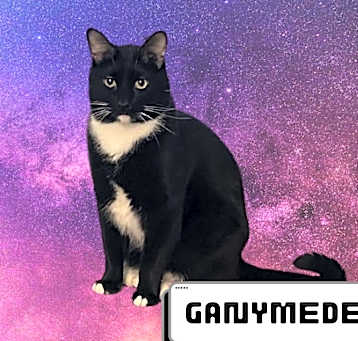 Photo of Ganymede