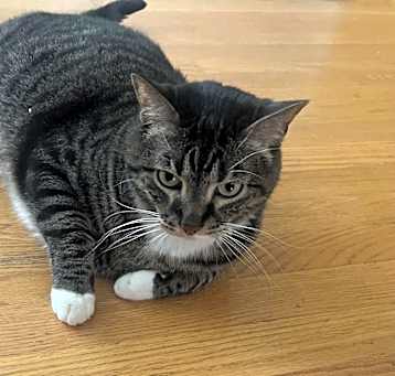 Photo of Taco