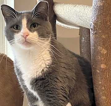 Photo of Clyde
