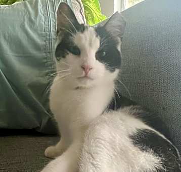 Photo of Jax