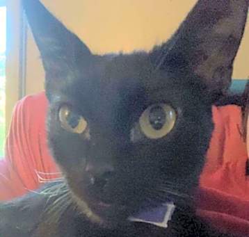 Photo of Charlie