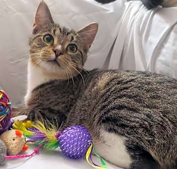 Photo of Wakko
