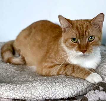 Photo of Fred