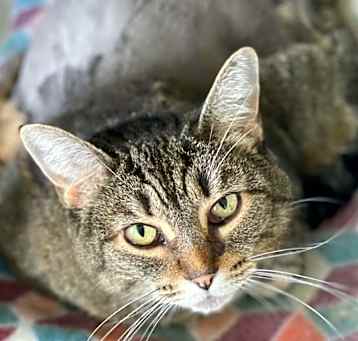 Photo of Meredith