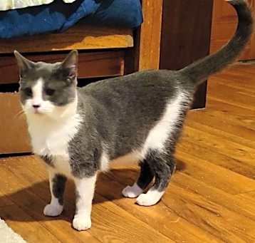 Photo of Kiki