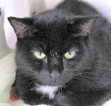 Photo of Jethro
