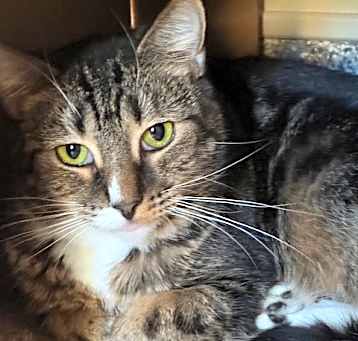 Photo of Momma Maisy (Momma May)