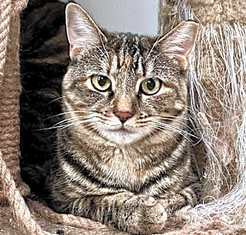 Photo of Gary