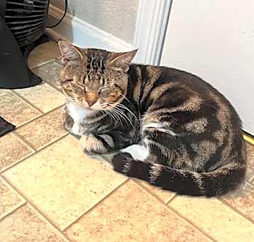 Photo of Monte