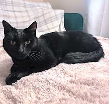 Photo of Olie