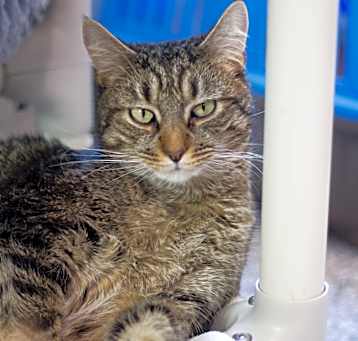 Photo of Tumbles