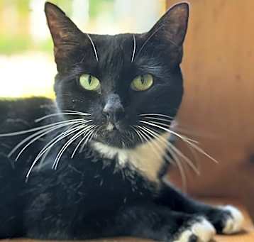 Photo of Queen