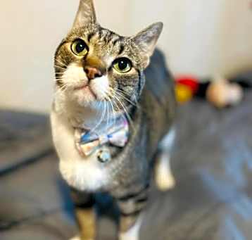Photo of Duncan