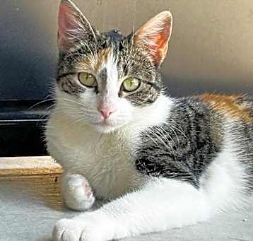 Photo of Hazel