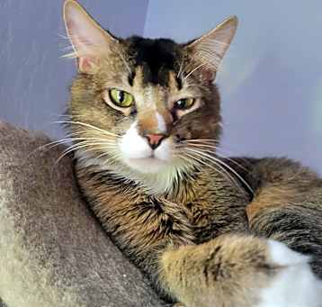 Photo of Wally
