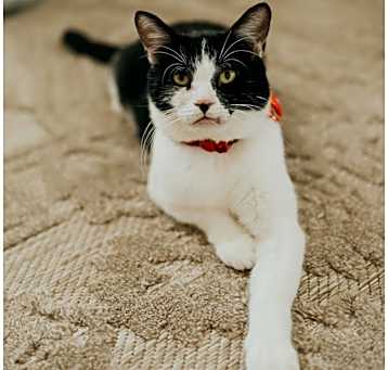 Photo of Bruno