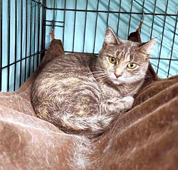 Photo of Theda