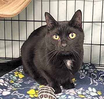 Photo of Finley